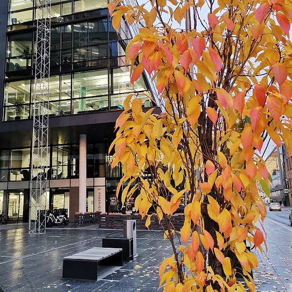 Bilde 1 av 3 i jobbannonse-galleriet