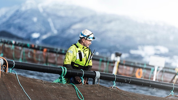 Bilde 2 av 3 i jobbannonse-galleriet