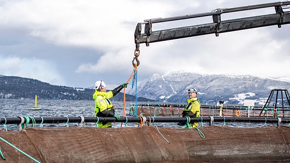 Bilde 1 av 3 i jobbannonse-galleriet
