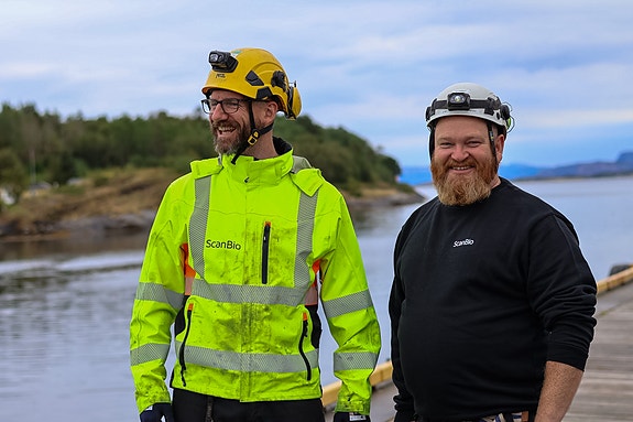 Bilde 1 av 6 i jobbannonse-galleriet