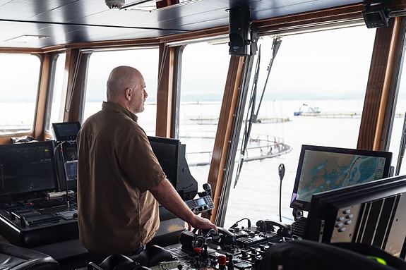 Bilde 5 av 6 i jobbannonse-galleriet