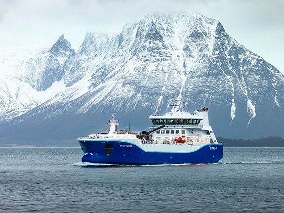 Bilde 1 av 1 i jobbannonse-galleriet