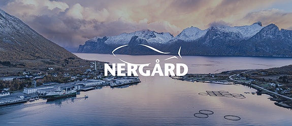 Bilde 1 av 4 i jobbannonse-galleriet