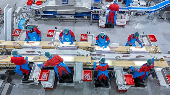 Bilde 3 av 4 i jobbannonse-galleriet