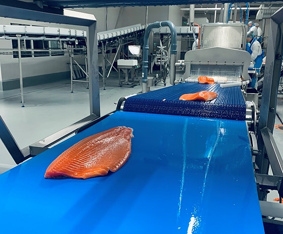 Bilde 4 av 7 i jobbannonse-galleriet