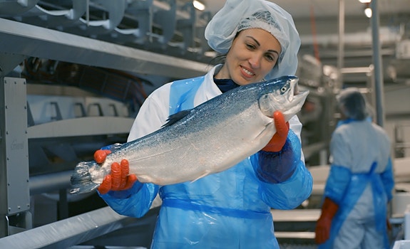 Bilde 3 av 7 i jobbannonse-galleriet