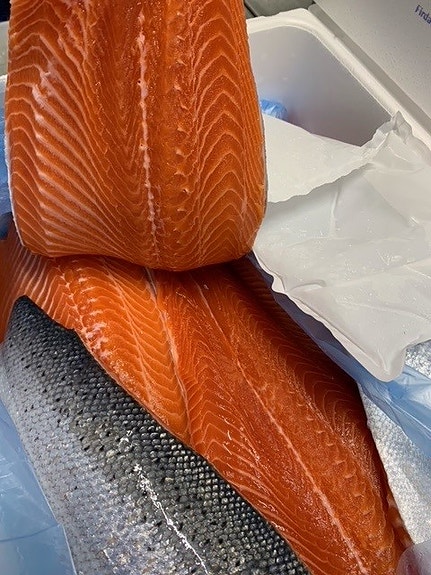 Bilde 5 av 7 i jobbannonse-galleriet