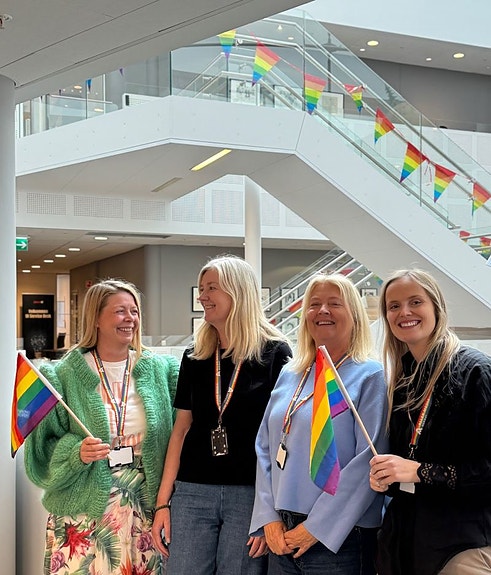 Bilde 2 av 2 i jobbannonse-galleriet