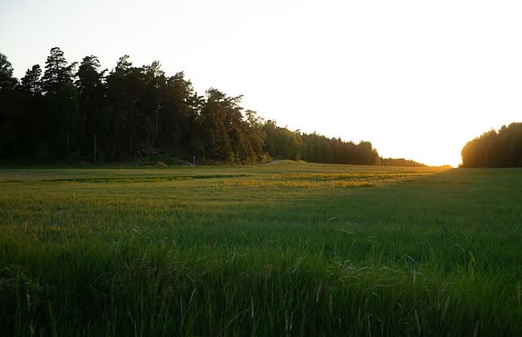Bilde 2 av 2 i jobbannonse-galleriet