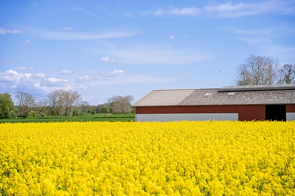 Bilde 2 av 3 i jobbannonse-galleriet