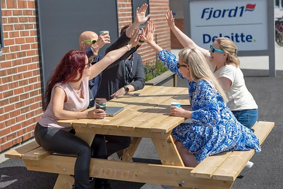 Bilde 1 av 4 i jobbannonse-galleriet