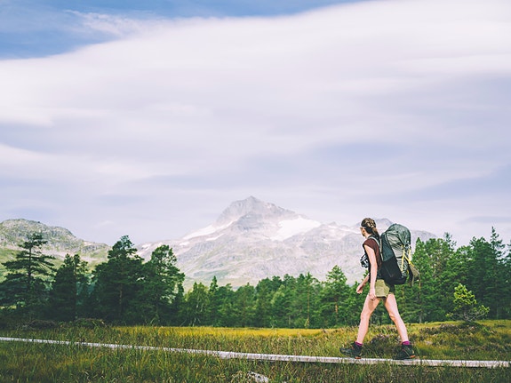 Bilde 1 av 1 i jobbannonse-galleriet
