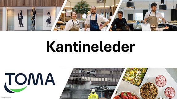 Bilde 1 av 4 i jobbannonse-galleriet