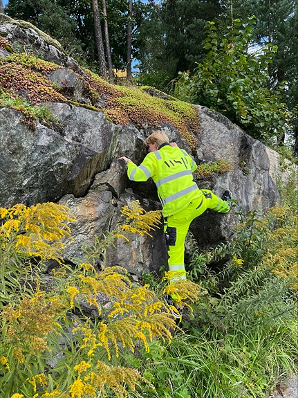 Bilde 3 av 5 i jobbannonse-galleriet