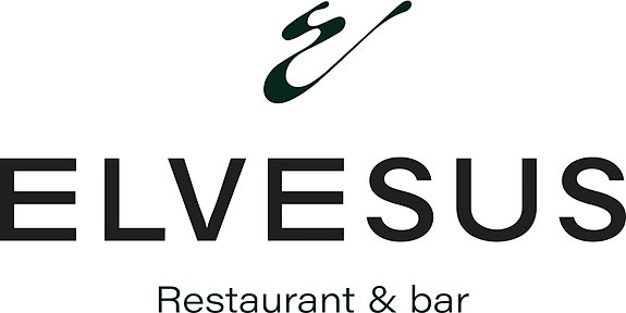 Elvesus AS logo