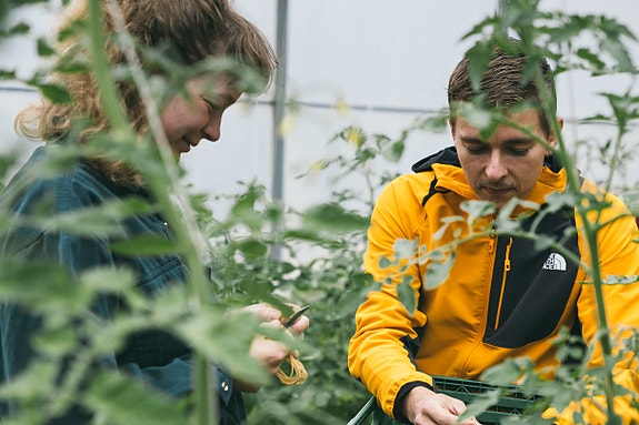 Ansvarlig matproduksjon