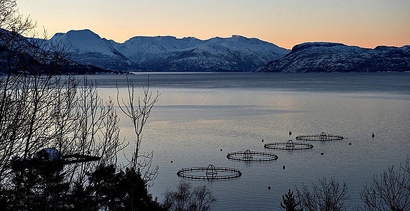 Bilde 2 av 6 i jobbannonse-galleriet