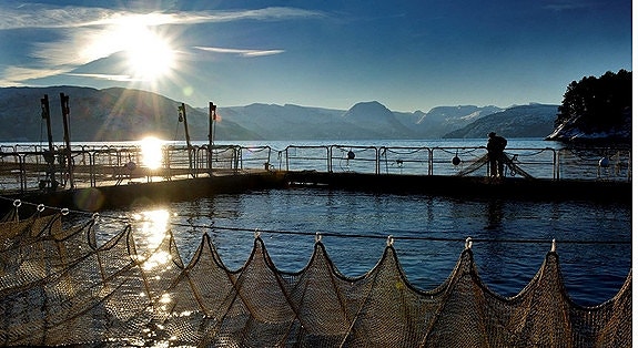 Bilde 4 av 6 i jobbannonse-galleriet