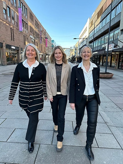 Bilde 1 av 1 i jobbannonse-galleriet