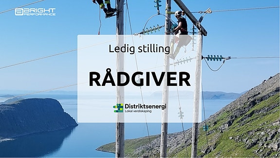 Bilde 1 av 1 i jobbannonse-galleriet