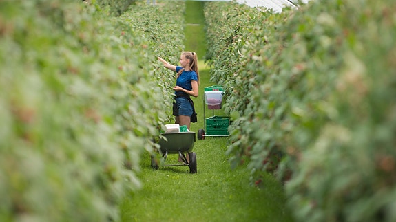 Bilde 4 av 4 i jobbannonse-galleriet