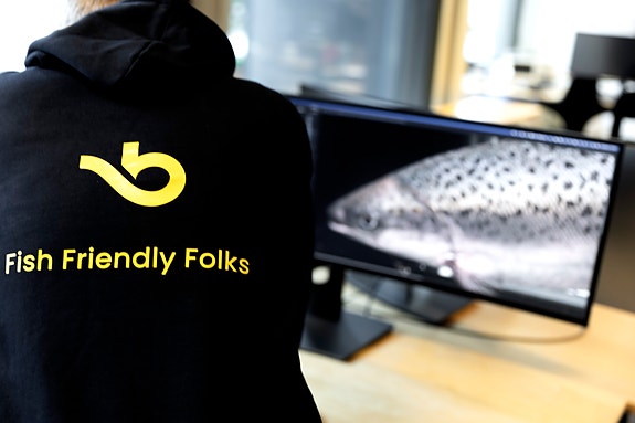 Bilde 9 av 10 i jobbannonse-galleriet