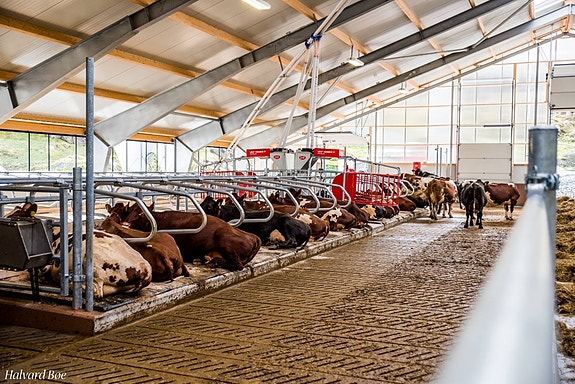 Vi er store på landbruk