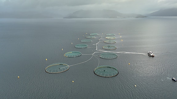 Vår største kunde er oppdrettsnæringa.