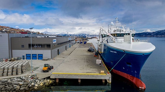 Bilde 4 av 5 i jobbannonse-galleriet