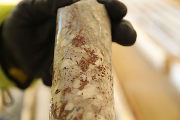 Bilde 1 av 4 i jobbannonse-galleriet