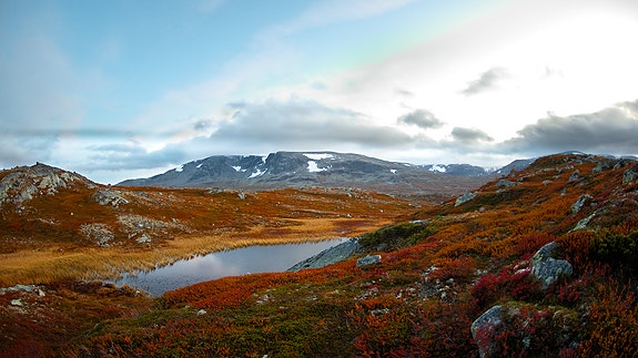 Bilde 4 av 5 i jobbannonse-galleriet