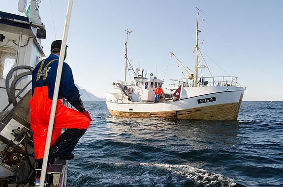 Bilde 2 av 2 i jobbannonse-galleriet