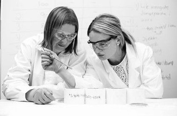 Bilde 2 av 4 i jobbannonse-galleriet