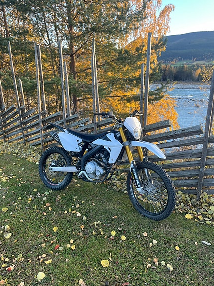 Rieju Marathon 125 Pro SM 6 of 8