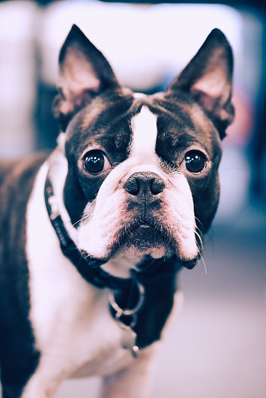 Bilde 9 av 9 i jobbannonse-galleriet