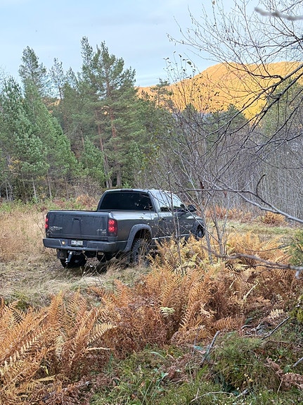 Dodge RAM 20 of 30