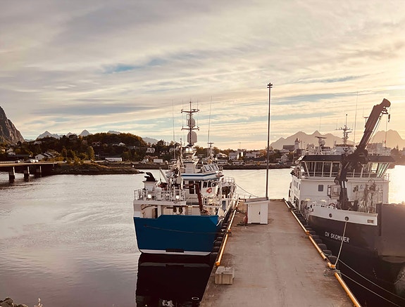 Bilde 4 av 6 i jobbannonse-galleriet