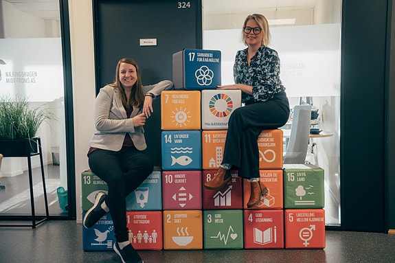 Bilde 1 av 6 i jobbannonse-galleriet