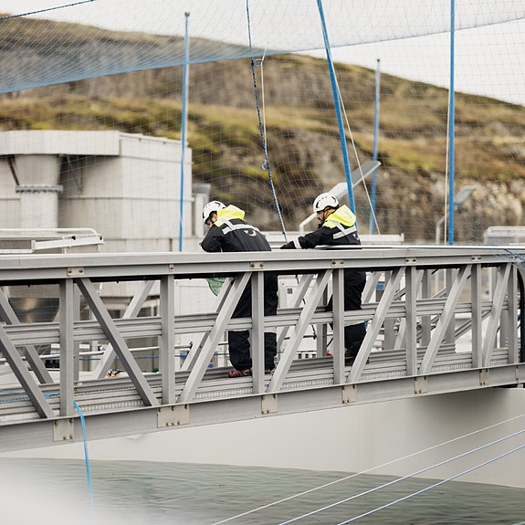 Bilde 1 av 4 i jobbannonse-galleriet