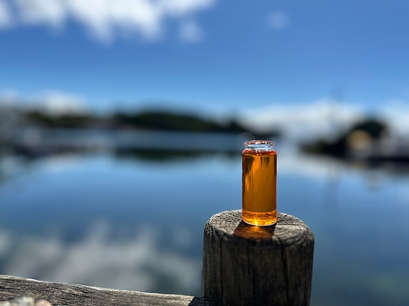 Bilde 1 av 3 i jobbannonse-galleriet