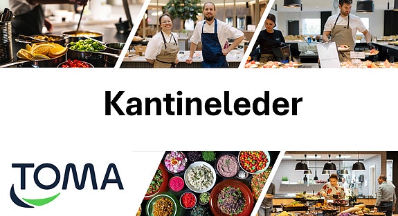 Bilde 1 av 5 i jobbannonse-galleriet