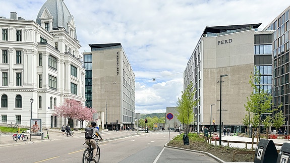 Bilde 2 av 4 i jobbannonse-galleriet