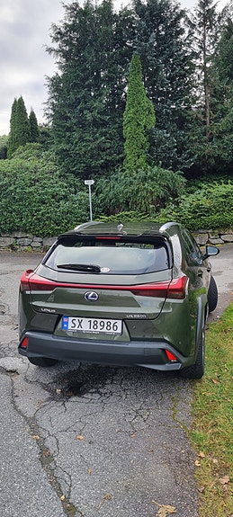 Lexus UX250h 9 of 16