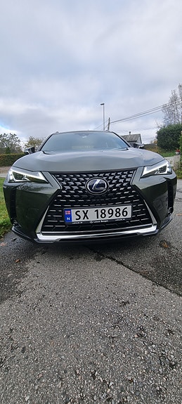 Lexus UX250h 13 of 16