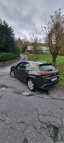 Lexus UX250h 7 of 16