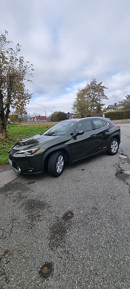 Lexus UX250h 4 of 16