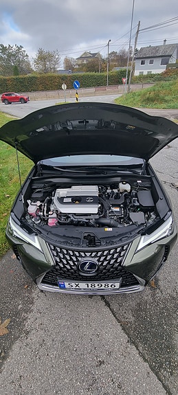 Lexus UX250h 15 of 16