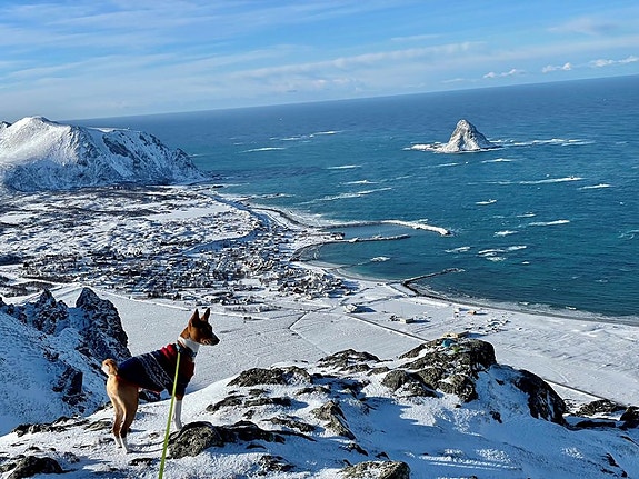 Bilde 14 av 14 i jobbannonse-galleriet