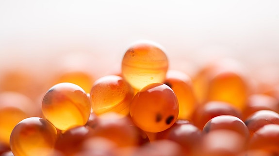 Bilde 3 av 3 i jobbannonse-galleriet