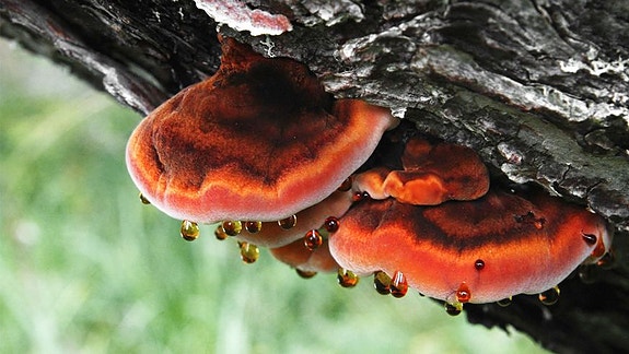 Bilde 3 av 3 i jobbannonse-galleriet